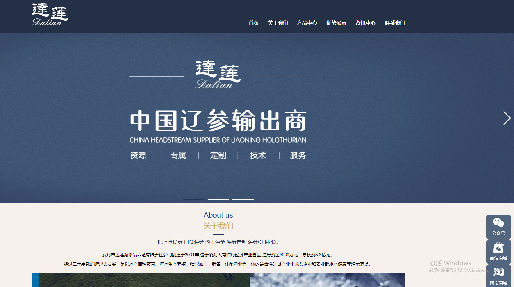 企业品牌网站